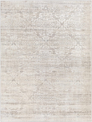 Batasan Neutral Area Rug - Clearance