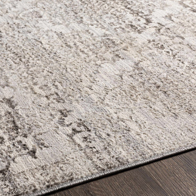 Batasan Neutral Area Rug - Clearance