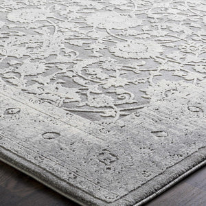 Benavides Gray Updated Traditional Tibetan Rug