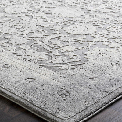 Benavides Gray Updated Traditional Tibetan Rug