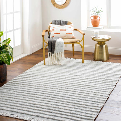 Benek Flatweave Performance Rug