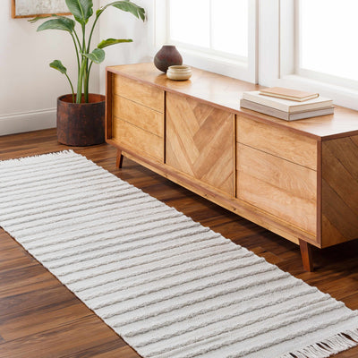 Benek Flatweave Performance Rug