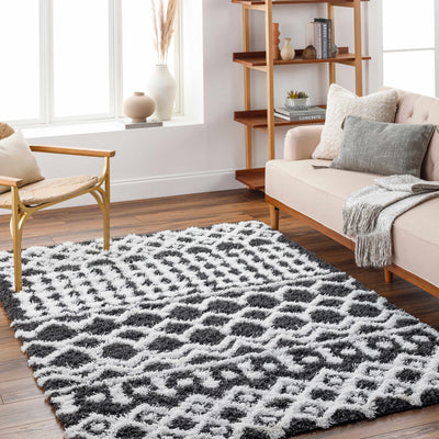 Bente Shag Area Rug