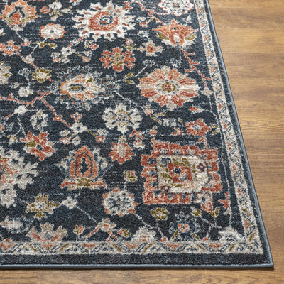 Bialong Traditional Area Rug - Clearance