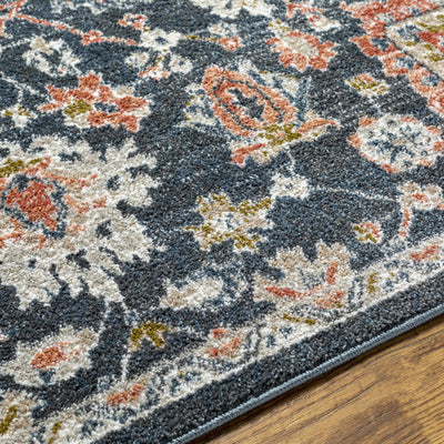 Bialong Traditional Area Rug - Clearance