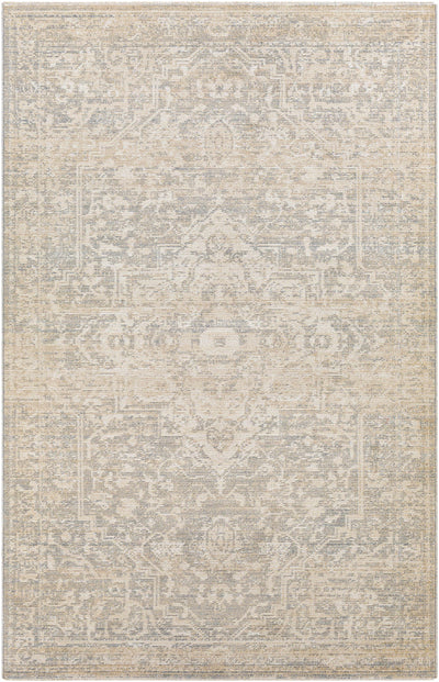 Buguey Beige Area Rug - Clearance