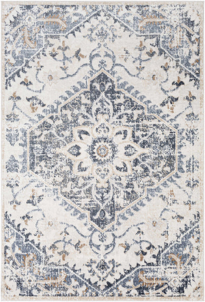 Biggleswade Denim Medallion Area Rug