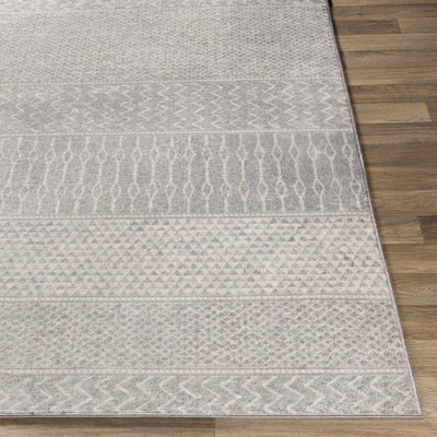 Bingham Area Rug