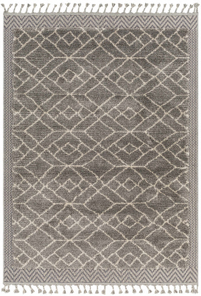 Ballybunnion Area Rug - Clearance