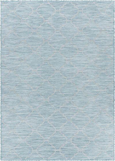 Unique Outdoor Trellis Area Rug, Aquamarine - Clearance