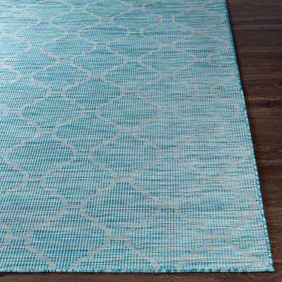 Unique Outdoor Trellis Area Rug, Aquamarine - Clearance