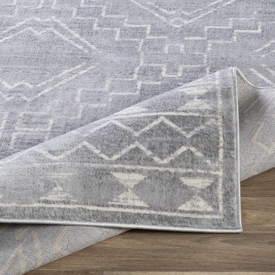 Orana 9x12 Faded Gray Rug - Clearance