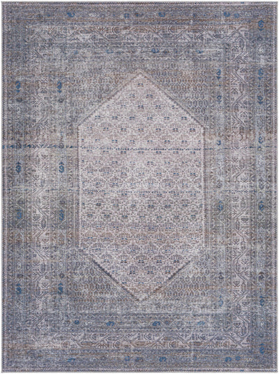 Brown Ballinasloe Vintage Washable Area Rug - Clearance