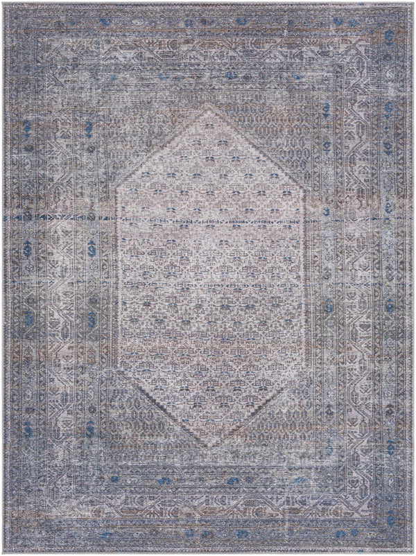 Brown Ballinasloe Vintage Washable Area Rug - Clearance