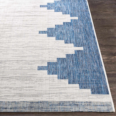 Djugun Navy Indoor & Outdoor Rug