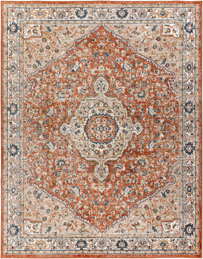 Bloemfontein Traditional Area Rug - Clearance