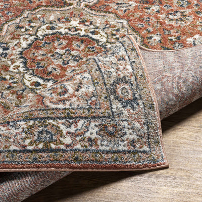 Bloemfontein Traditional Area Rug - Clearance