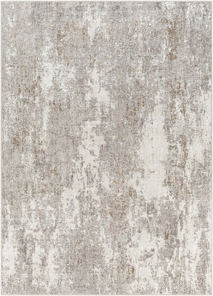 Binabaan Abstract Area Rug