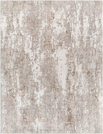 Binabaan Abstract Area Rug