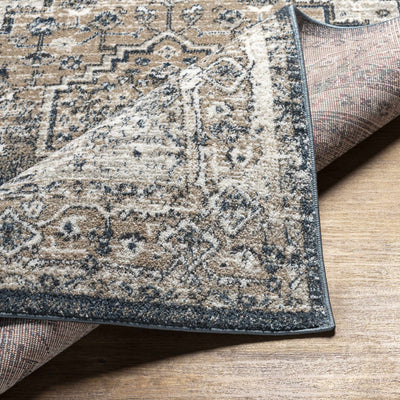 Labnig Charcoal Traditional Area Rug - Clearance