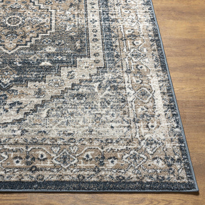 Labnig Charcoal Traditional Area Rug - Clearance