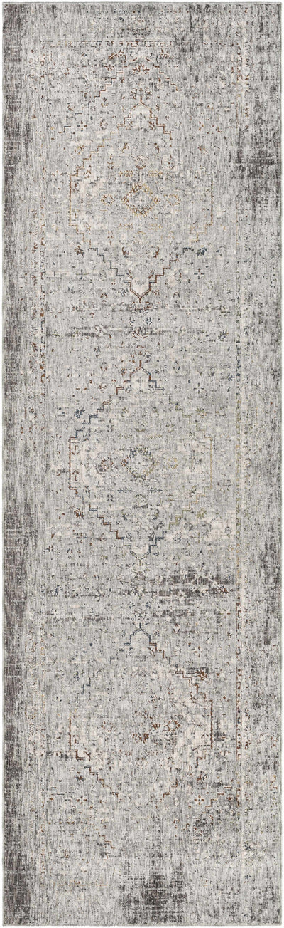 Boli Distressed Area Rug