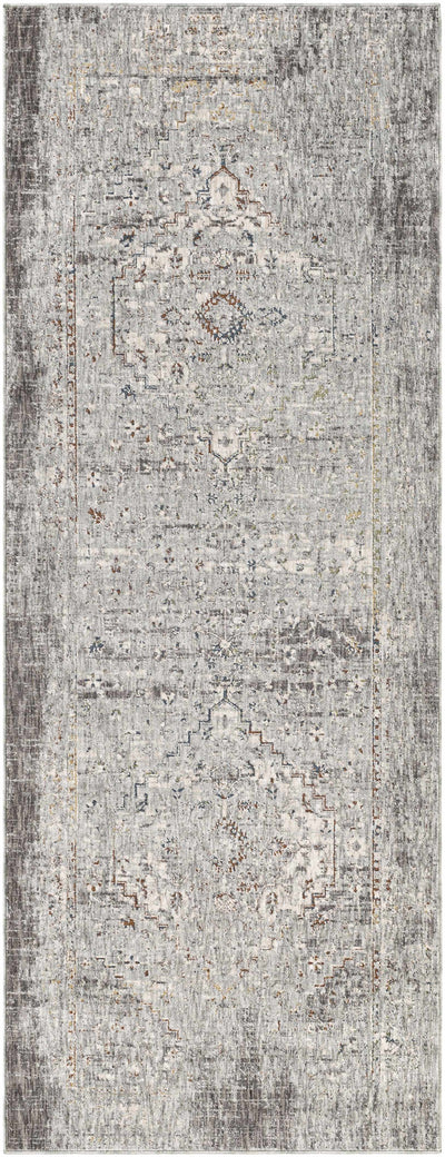 Boli Distressed Area Rug