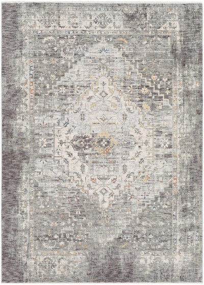 Boli Distressed Area Rug