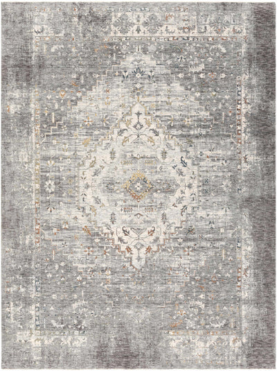 Boli Distressed Area Rug