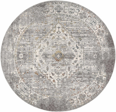 Boli Distressed Area Rug