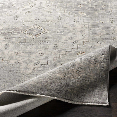 Boli Distressed Area Rug