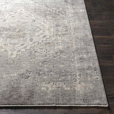 Boli Distressed Area Rug