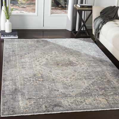 Boli Distressed Area Rug