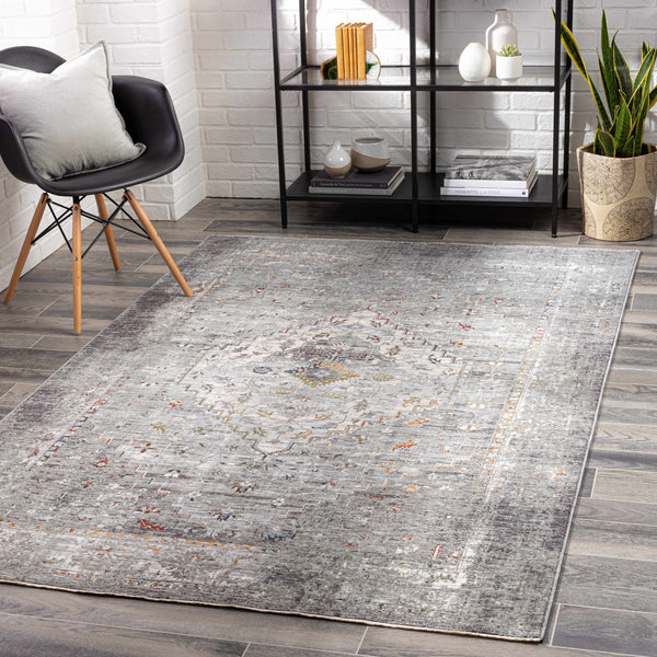 Boli Distressed Area Rug