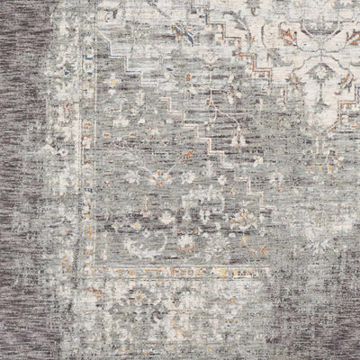 Boli Distressed Area Rug