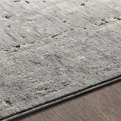 Boli Distressed Area Rug