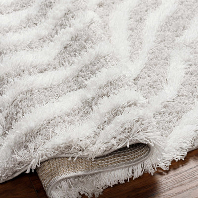 Baran Zebra Print Shag Area Rug