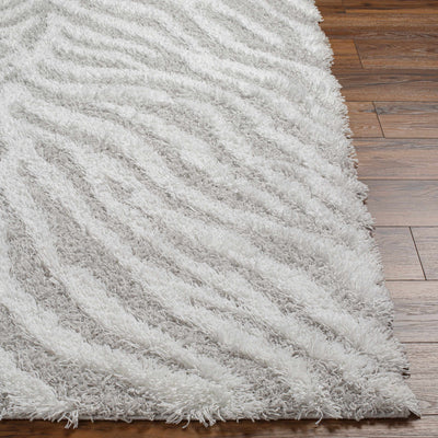 Baran Zebra Print Shag Area Rug