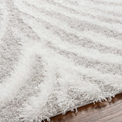 Baran Zebra Print Shag Area Rug