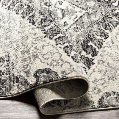 Boronda Area Rug - Clearance