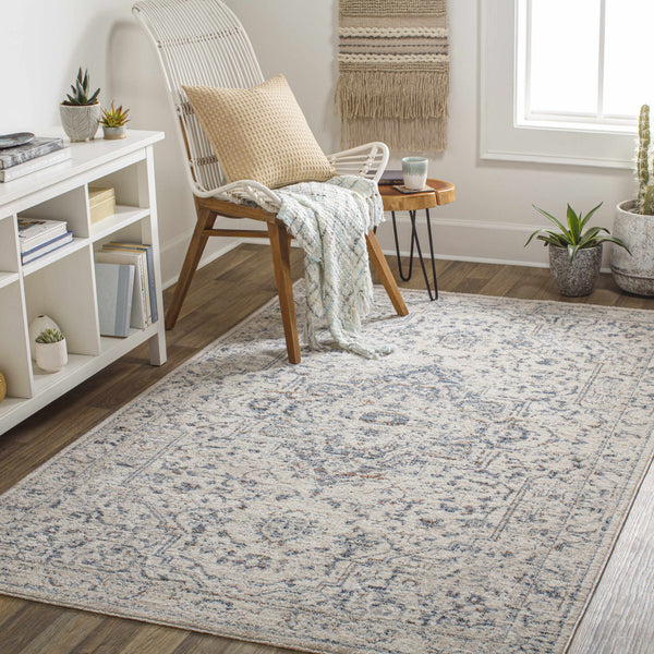 Buguey Area Rug - Clearance