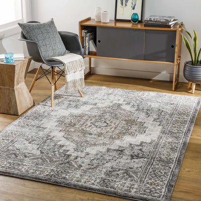 Manaring Charcoal Medallion Area Rug