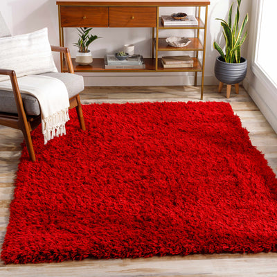 Siari Solid Red Shag Rug