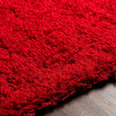 Siari Solid Red Shag Rug