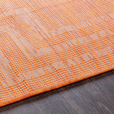 Caravonica Flatweave Area Carpet - Clearance