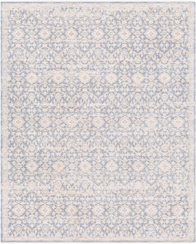 Carlton Pale Blue Area Rug - Clearance