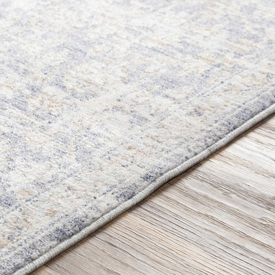 Carlton Pale Blue Area Rug - Clearance