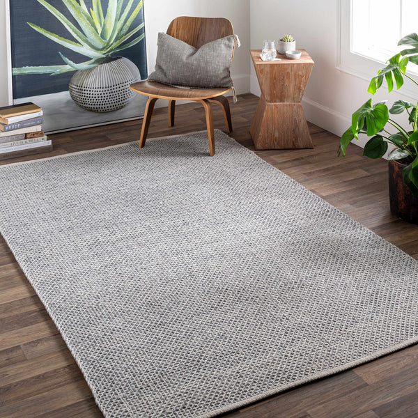 Cawston Flatweave Performance Rug