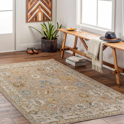 Cabinteely Oushak Area Rug