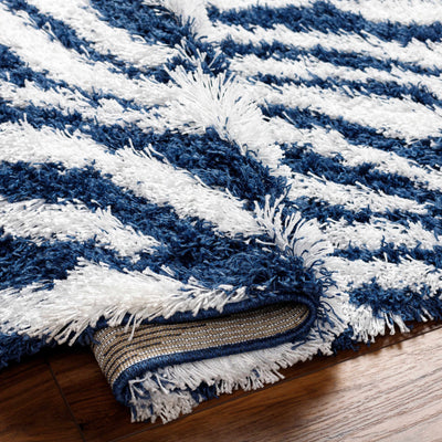 Chaim Blue Zebra Print Shag Area Rug